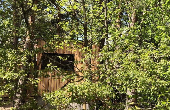 Holiday Home Under the Trees - Foto 31