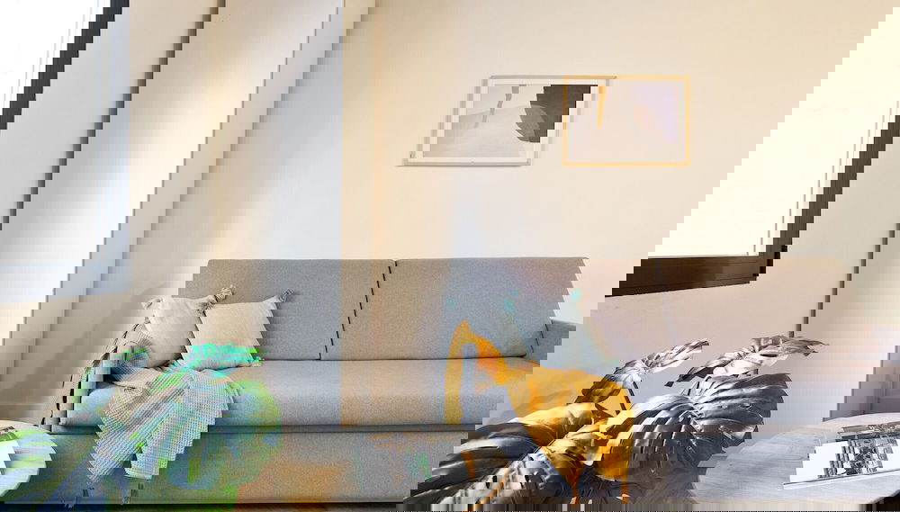 Image principale