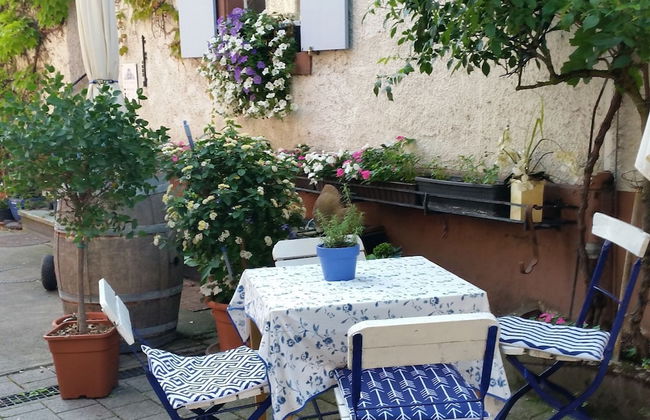 Weinberg-ferienwohnung, Oberrotweil - Foto 14