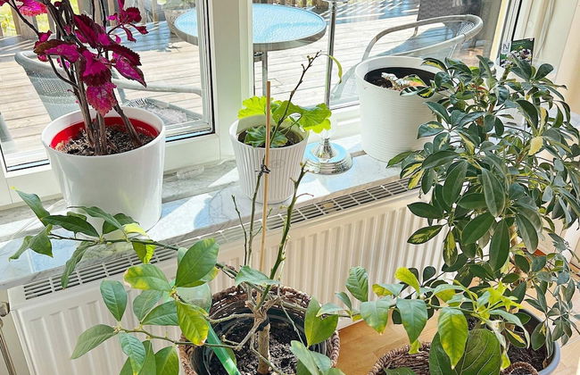 4 Person Holiday Home in Sundbyberg - Foto 14