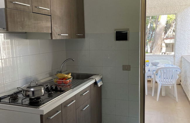 sfinal residence - Photo 18