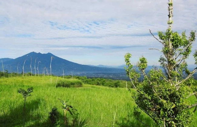 Landeuh Savana Pangrango Camp by ABM - Foto 18