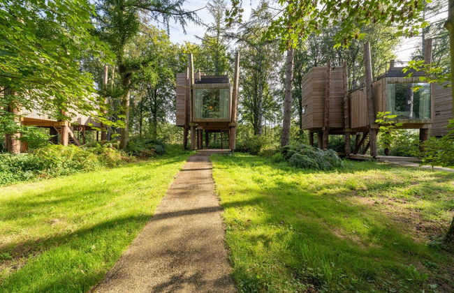 Treehouse in Tournai With Sauna and Terrace - Foto 21