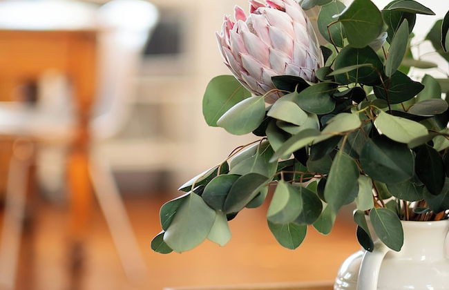 De Waterkant Guest Suites - Photo 19