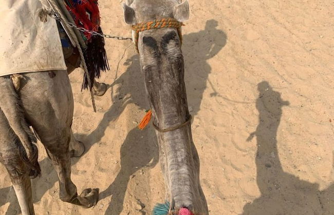 Moon life in Wadi Rum - Foto 28