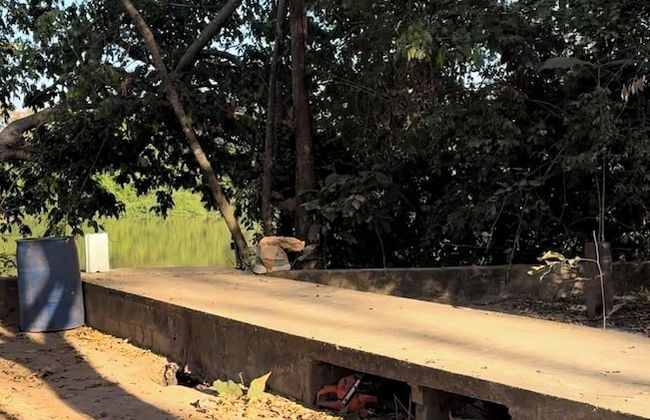 Rancho 5 corações pesqueiro - Photo 15