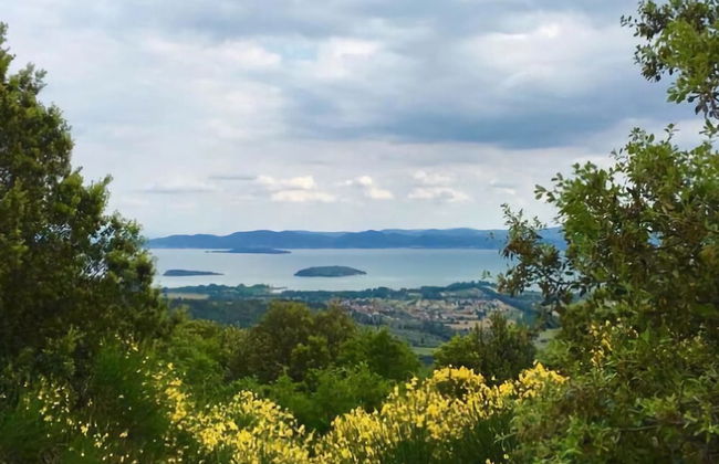 Relaxing Chalet Near Trasimeno - Foto 30