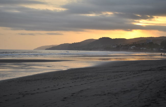 Tropical Escape @ Sunzal Surf City - Photo 33