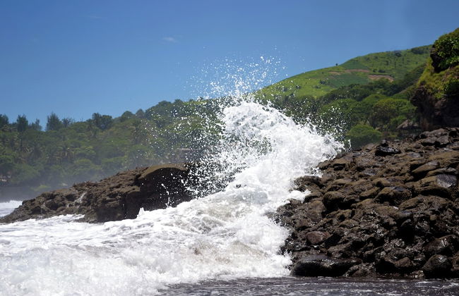 Tropical Escape @ Sunzal Surf City - Photo 35