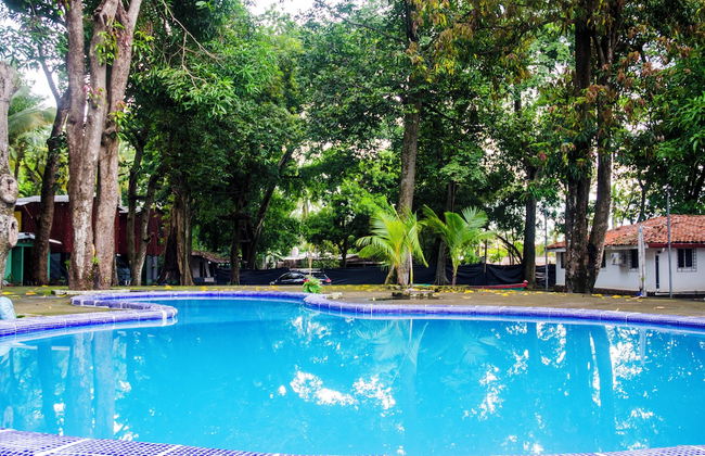 Tropical Escape @ Sunzal Surf City - Photo 22