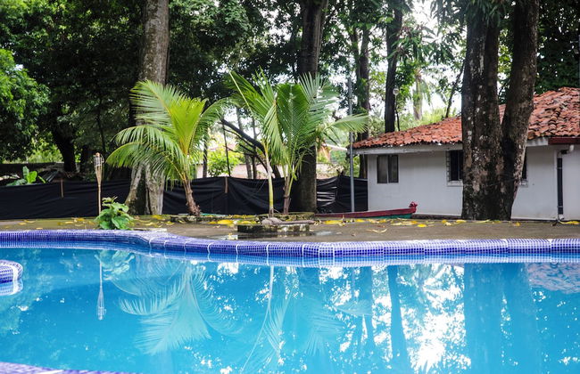 Tropical Escape @ Sunzal Surf City - Photo 21