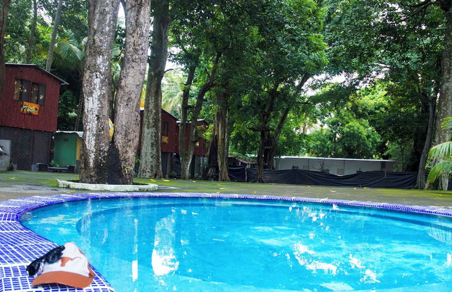 Tropical Escape @ Sunzal Surf City - Photo 26