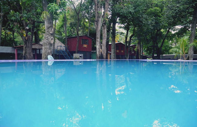 Tropical Escape @ Sunzal Surf City - Photo 24