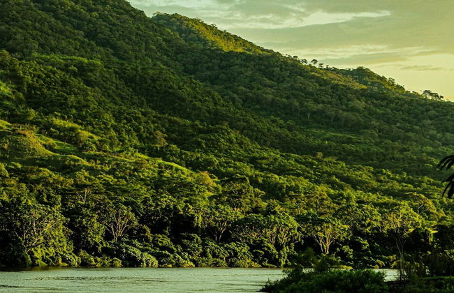 Cabañas Alpinas-El Trapiche-Tarapoto - Photo 6