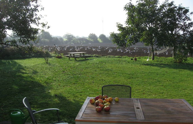 Holiday Home Beach and Nature - Foto 17