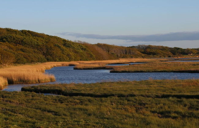 Holiday Home Beach and Nature - Foto 16