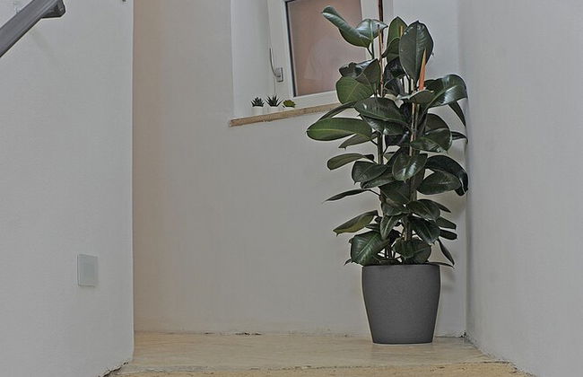 Mom Apartment Rooms&Suites - Photo 52