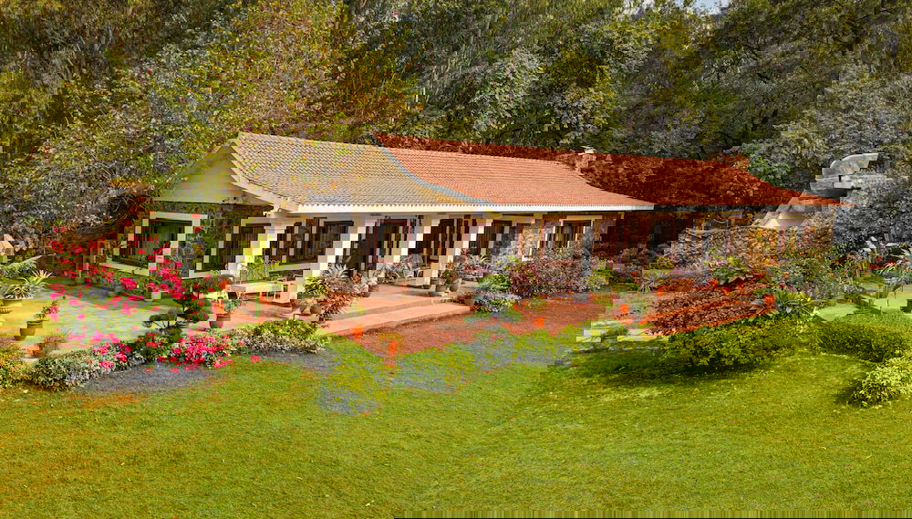 Imagem principal