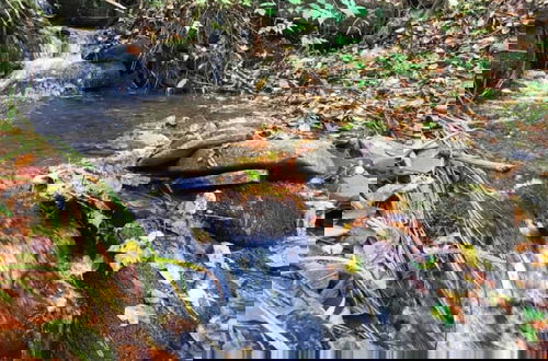 Foto 59 - Catskill Retreat