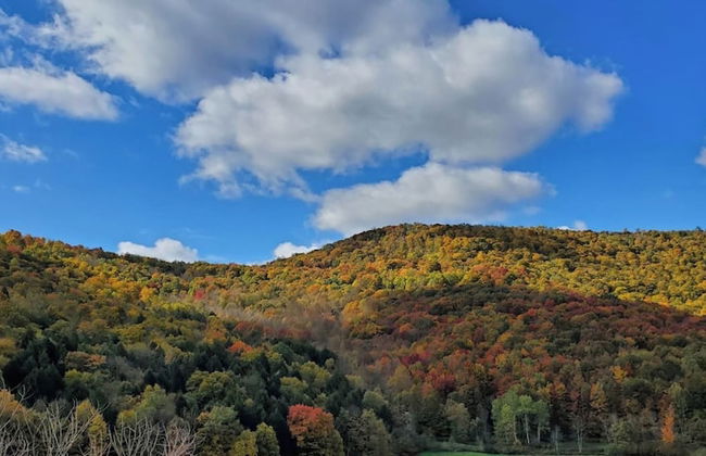Catskill Retreat - Foto 28