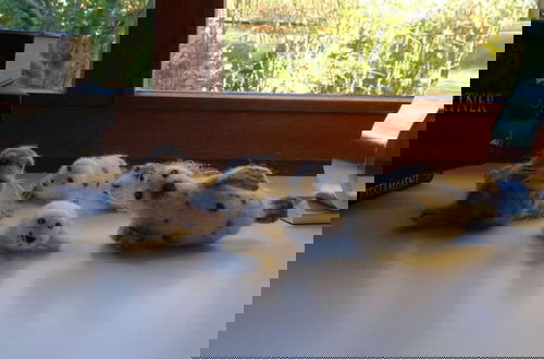 Photo 8 - Holiday Home Gray Seal