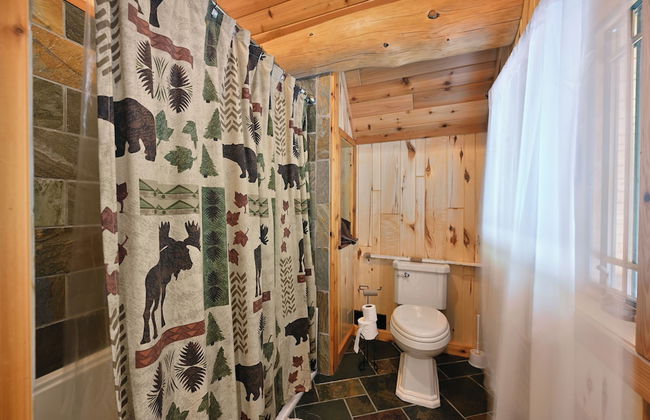 Osprey Lake Cabin - Foto 21