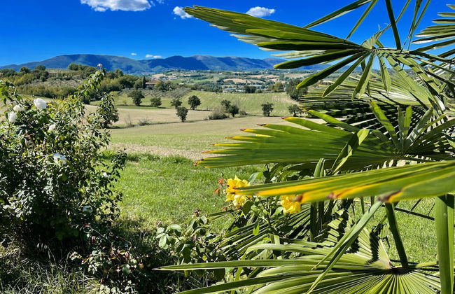 Spoleto Poolside - apt Sleeps 4 on Beautiful Campus - 1 km max Spoleto Central - Foto 64