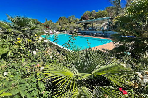 Photo 31 - Apt 5 - Wondrous Infinity Pool, Extensive Grounds in Spoleto. Sleeps 4