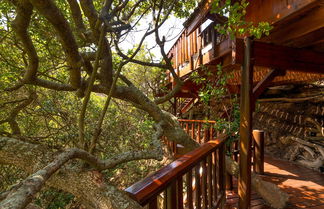 Foto 1 - Ballots Bay Treehouse by HostAgents