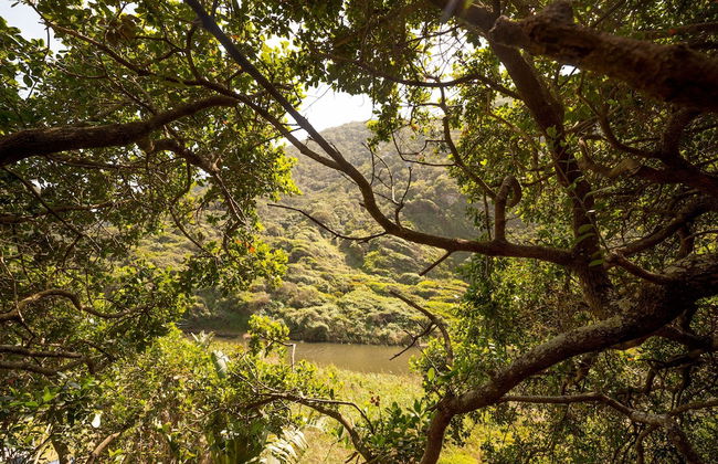 Ballots Bay Treehouse by HostAgents - Foto 20