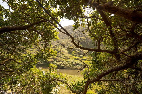 Photo 28 - Ballots Bay Treehouse by HostAgents