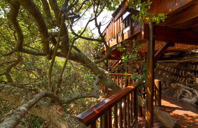 Ballots Bay Treehouse by HostAgents - Foto 4