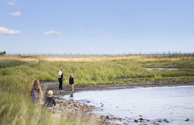 First Camp Bøsøre Strand Fyn - Foto 43