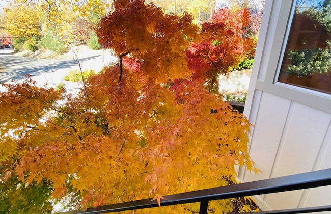 The Lilypad 2 Master Bedrooms Game Room - Photo 48