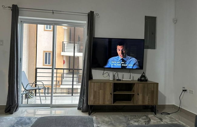 Luxury Living Modern & Contemporary Home With Brand New Pool in Manor Park - Foto 50