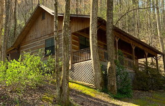 Photo 1 - Little Mountain Hideaway