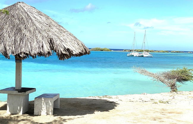 Ocean Front Villa in Aruba - Stunning Full House - Foto 18