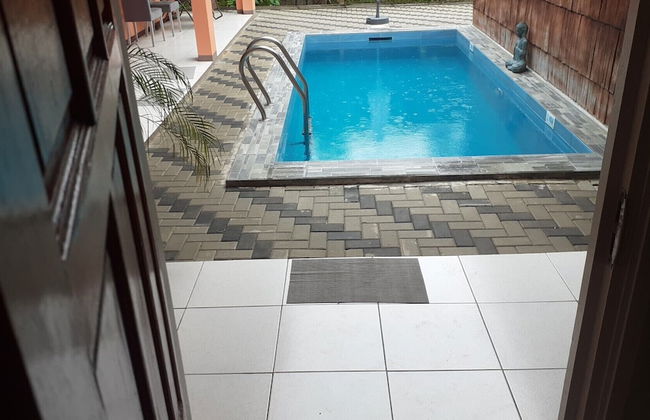 Max Garden and Pool - Photo 62