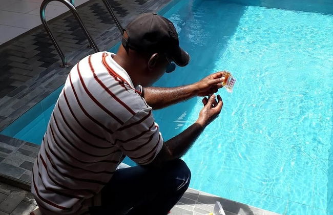 Max Garden and Pool - Photo 53