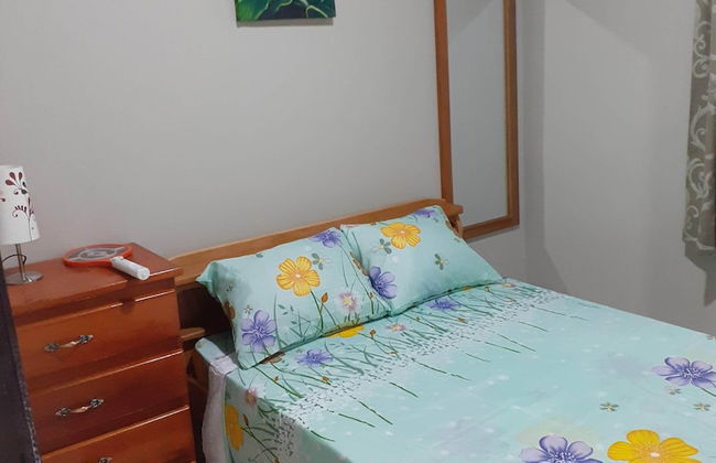 Max Garden and Pool - Photo 14