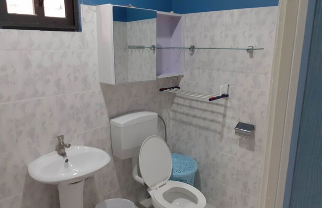 Max Garden and Pool - Photo 44