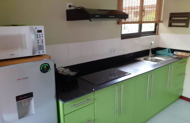 Max Garden and Pool - Photo 27