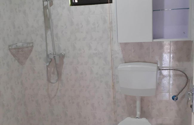 Max Garden and Pool - Photo 50