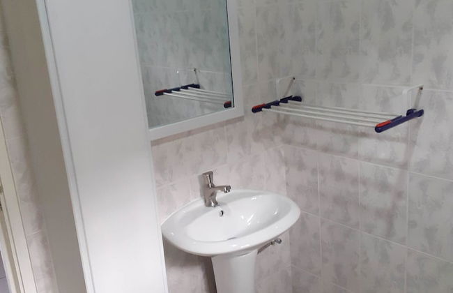 Max Garden and Pool - Photo 43