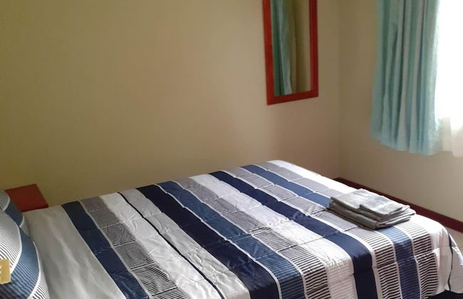 Max Garden and Pool - Photo 19