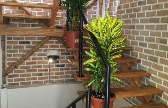 Bambu Sierra - Foto 53