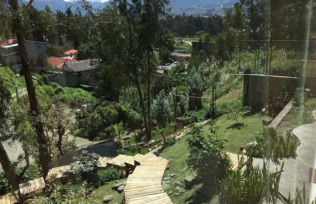 Bambu Sierra - Foto 54