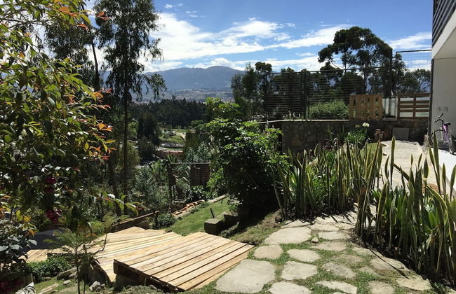 Bambu Sierra - Foto 55