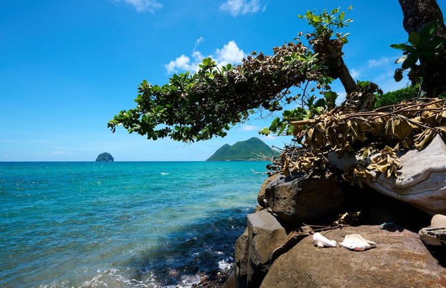 Diamant Beach - Foto 40