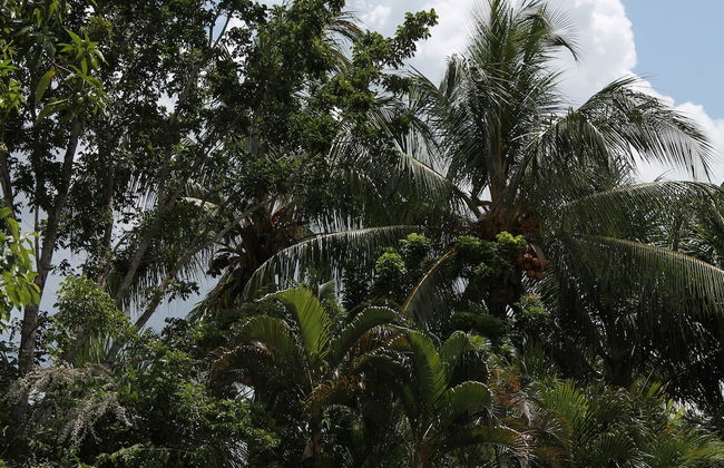 Asteria Studios - Photo 67